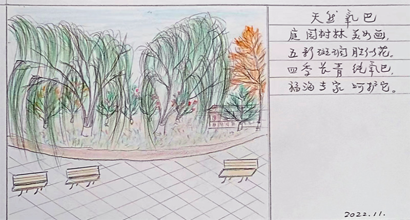 94岁爷爷与92岁奶奶，画笔下的养老院