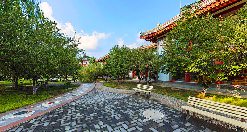 94岁爷爷与92岁奶奶，画笔下的养老院