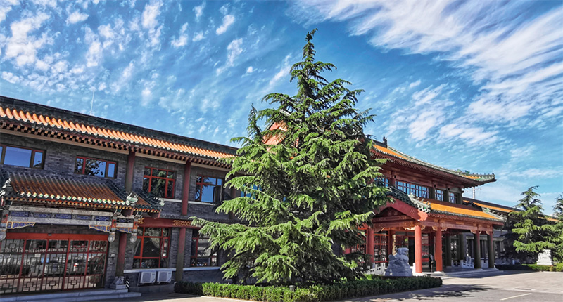 94岁爷爷与92岁奶奶，画笔下的养老院