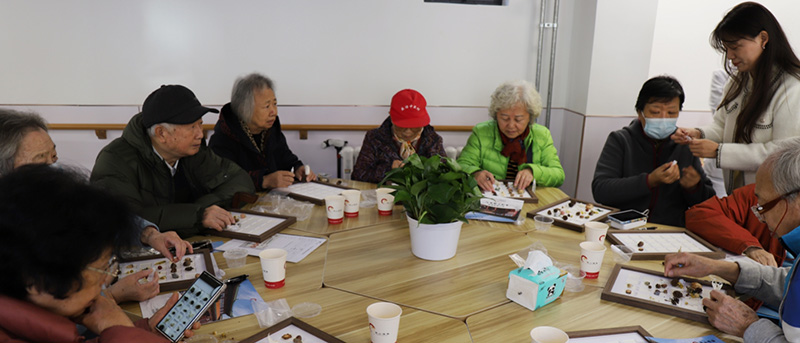 &ldquo;福寿港湾，温馨启航&rdquo; ，寿山福海携手中关村街道，共绘&ldquo;一刻钟&rdquo;养老服务新蓝图